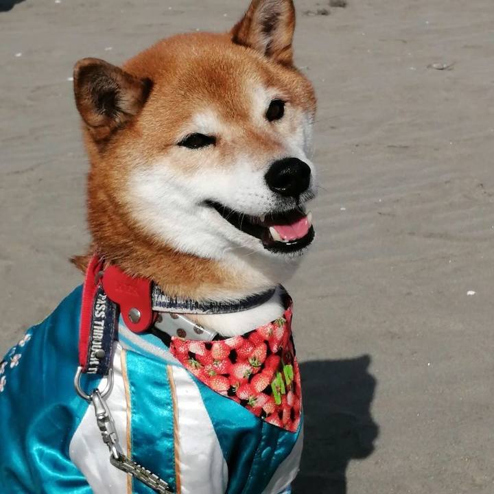 D3618360 d8ba 4a41 96a8 9be7b5a4dd3a 1707701883006