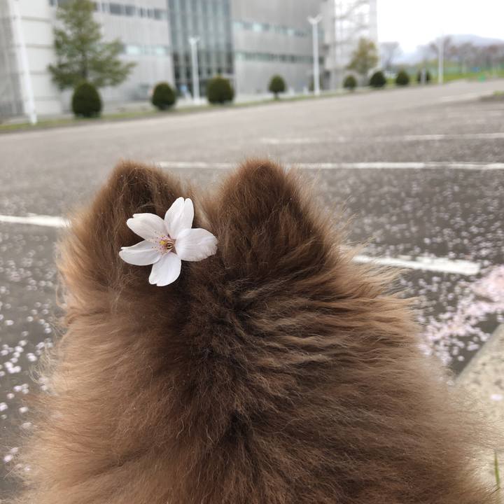 D361912c 4ff5 4ff4 bb1a 971ffda59ae1 1620198227396