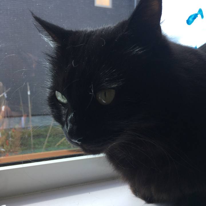 D361c59a 8a5a 43e6 9a69 6be84a12bede 1537968316180