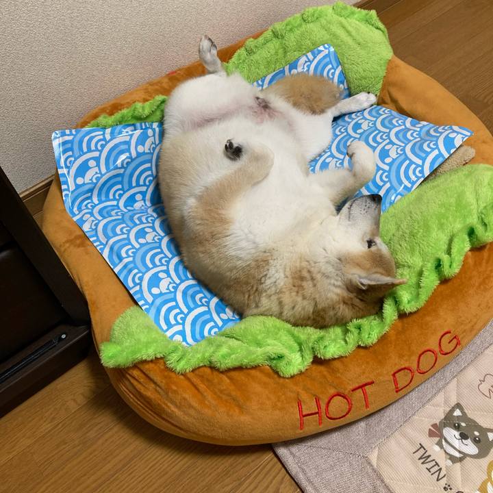 D361d532 ab71 47f4 8cdf da7fcab9c7d7 1623626502208