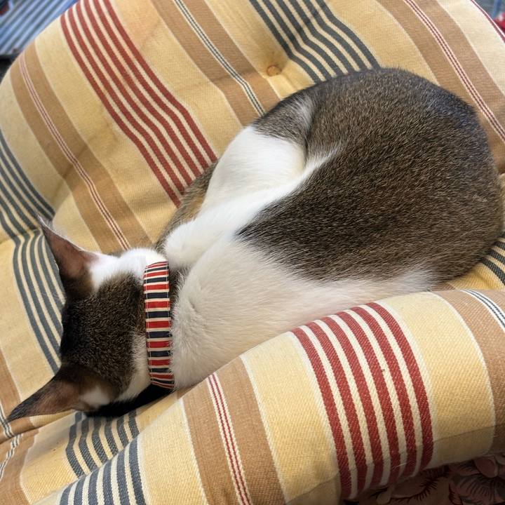 D361e662 ebae 4bb8 ac29 e8777c122eb5 1760230207389