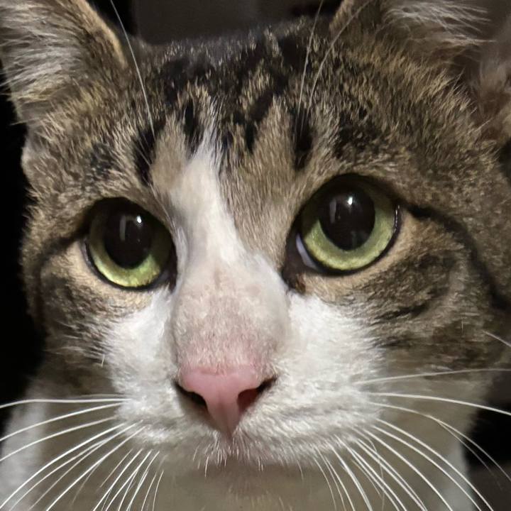 D361ea10 b6e9 4a26 bb16 cf7acbae29dc 1762594869323