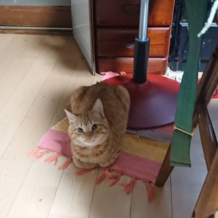 D3620f23 df64 488d 817a b0078b6d4b49 1638653979253