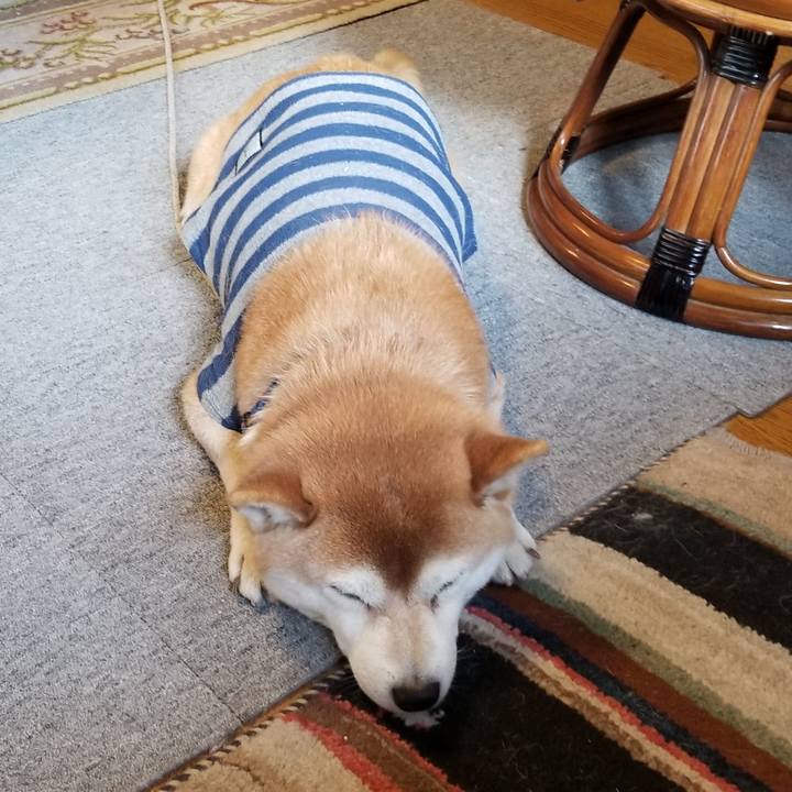 D362138c f1dc 4b8f bf9c 2748abf35656 1582502590505