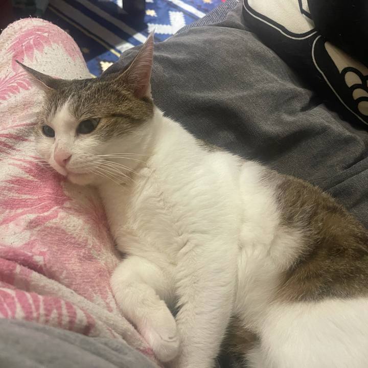 D3623444 bc5d 415f 976a 5d591804815c 1645572666657