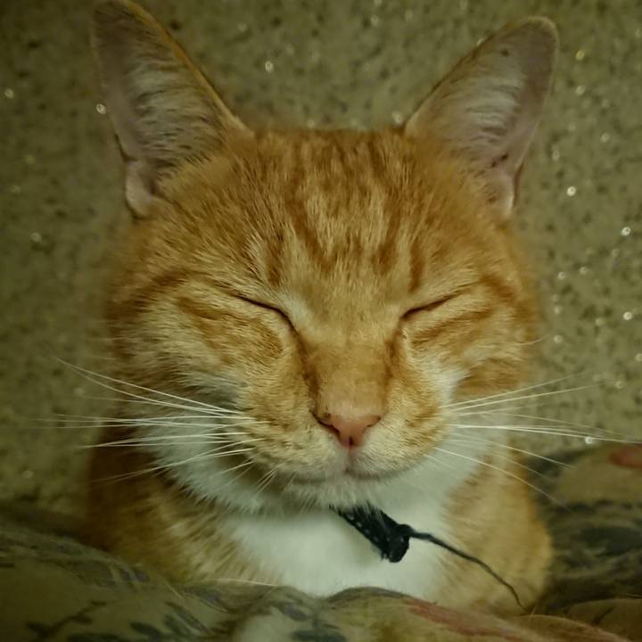 D362535b cdd2 4b5d bc8b e05373ca0c75 1601897594828