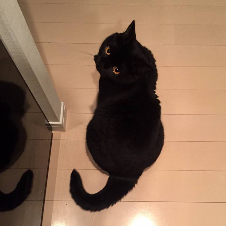 D36280f8 0d32 43bb 8ae3 fd50030752be 1566566936840