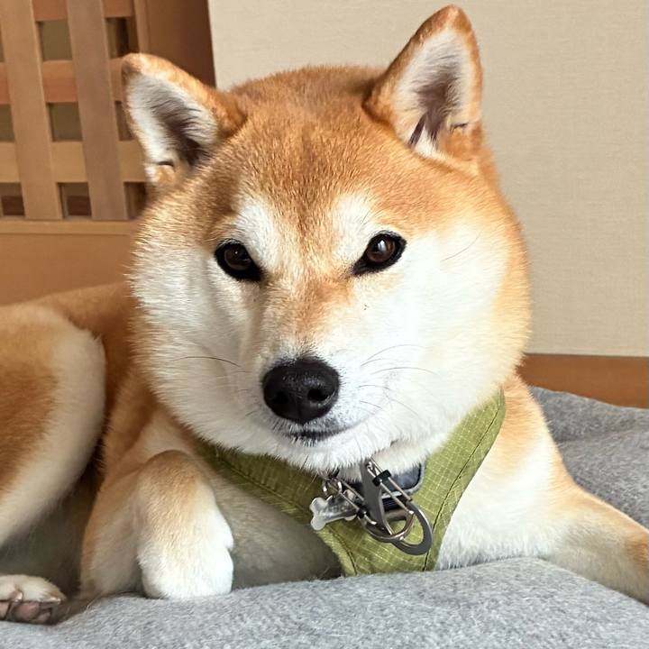 D3629aea 2198 48ee abf5 41b060f5d756 1771113775127