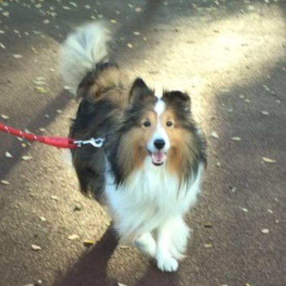 D362b659 b5f8 4b5c 8bb4 c98e20b910a4 1758785280271