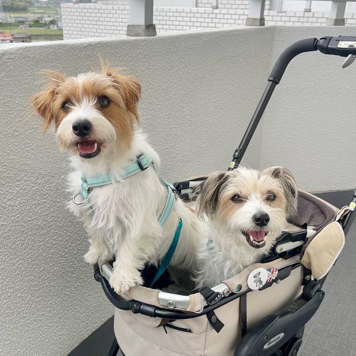 D362b6d7 9883 4c4f 97b2 4b06f6bc4409 1776852440754