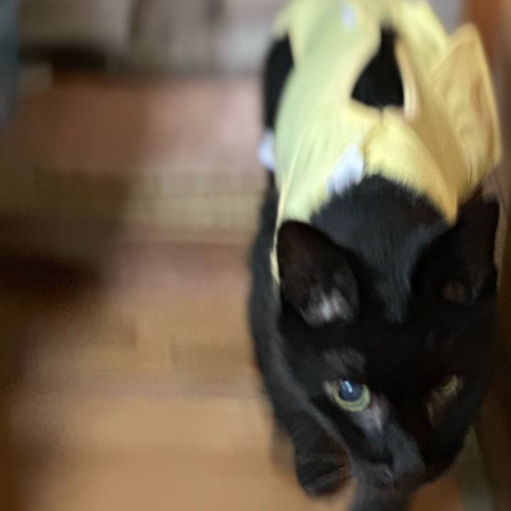 D362cc08 9d16 415c bf7c a77d1cc8b025 1719108815158