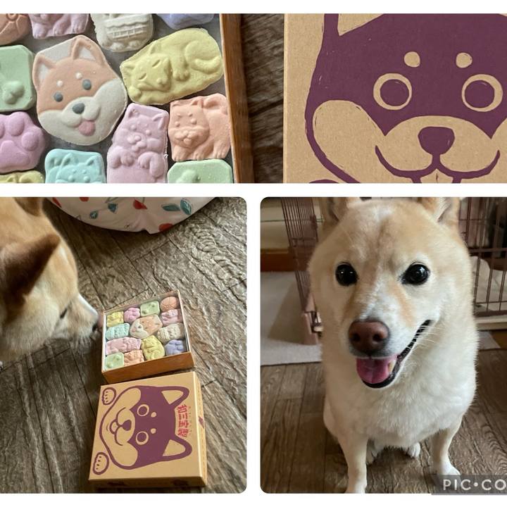 D362e224 d193 4008 9a81 a85343ba765f 1717754866633