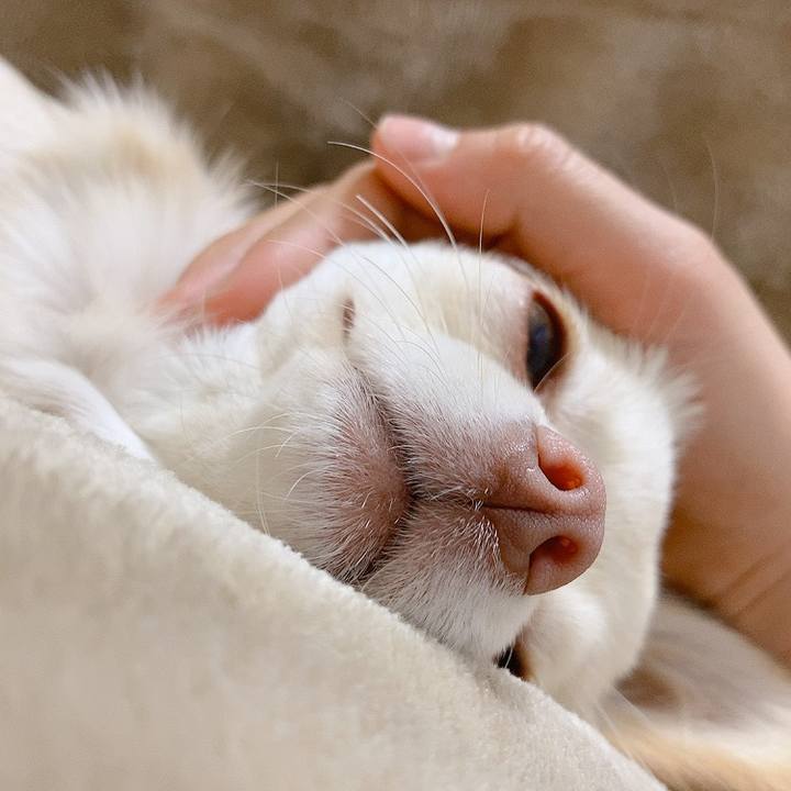 D362f023 1bd1 42c8 b9f9 f36d9f4f58c1 1610676320011