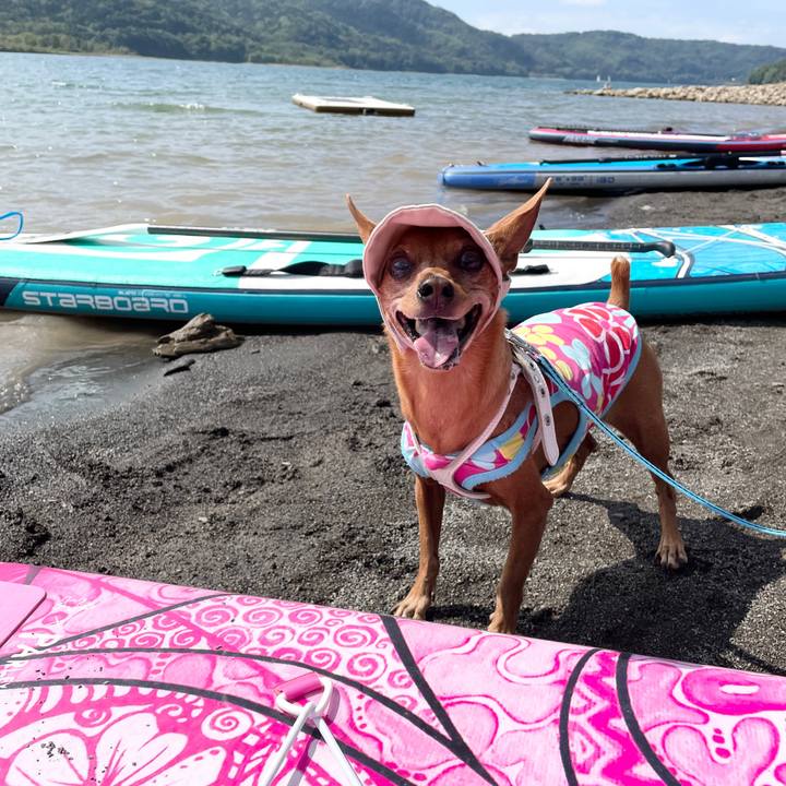 D3631fef d2b7 496b be36 9e9de5da45ae 1694510108545