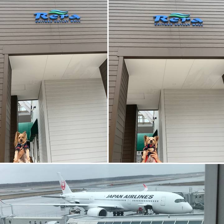 D3632733 17b6 4f87 90cd 73e70c97e054 1617531441908