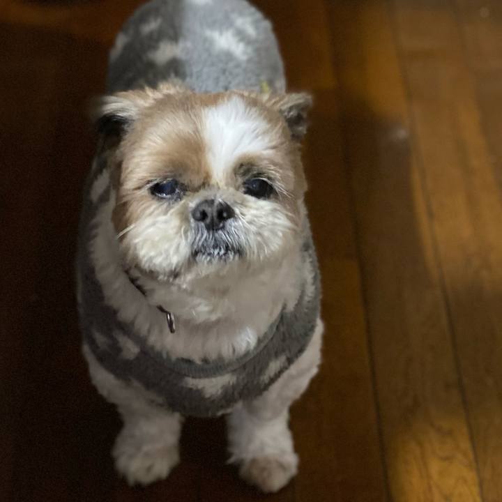 D363288d fd32 4e37 9aad e2ef9c706e60 1644748919583