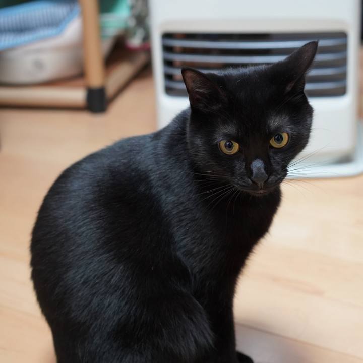 D3633d07 bb28 4143 ac5e aa597cdb73a3 1581638379837