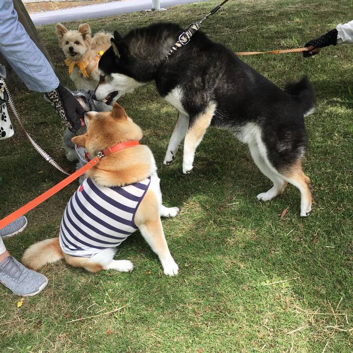 D36348a5 933e 4482 a564 86fb0859ce30 1559533012587