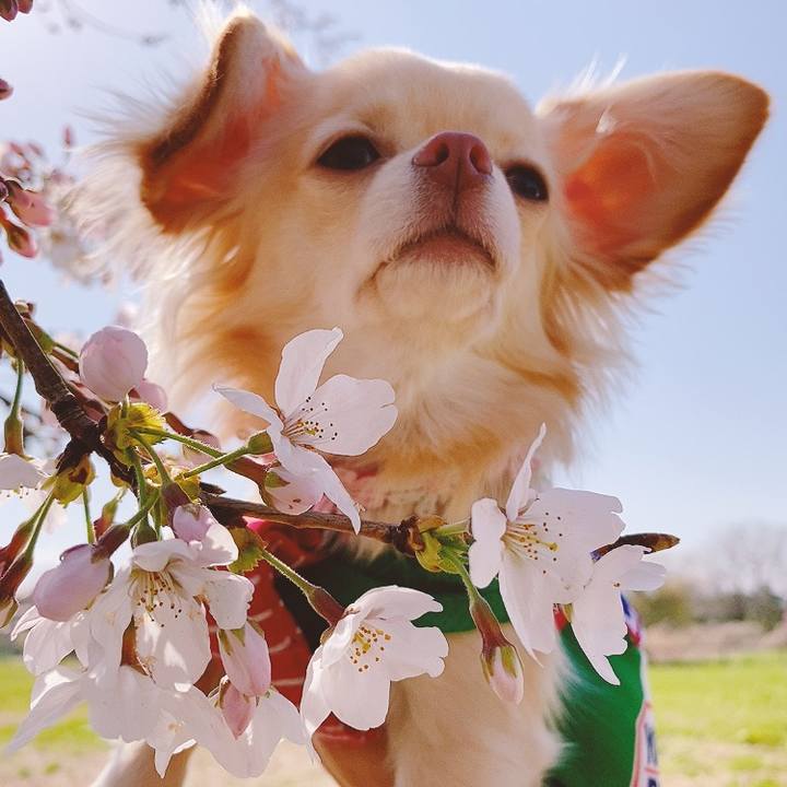 D3634ade 3140 4ee3 a99e 9e347f775a16 1616491551605