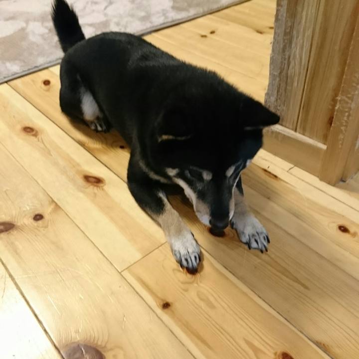 D36361c8 9554 4df2 af2e 1a1e97037d8c 1517740738018