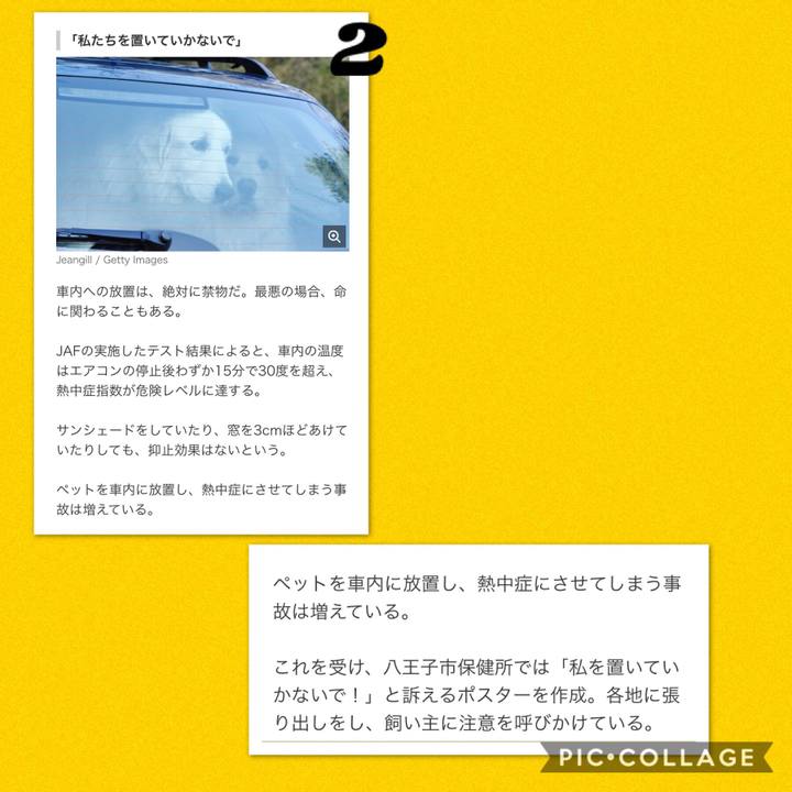 D3638328 c11d 4d62 8073 40e9f84d8739 1531720863213