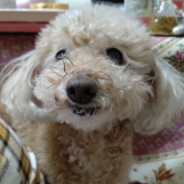 D363a245 55f7 4899 b88b e17792296217 1644922914677