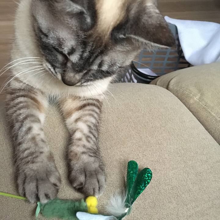 D363abba 923e 4721 a5cd d57f900d4ca5 1582185521014