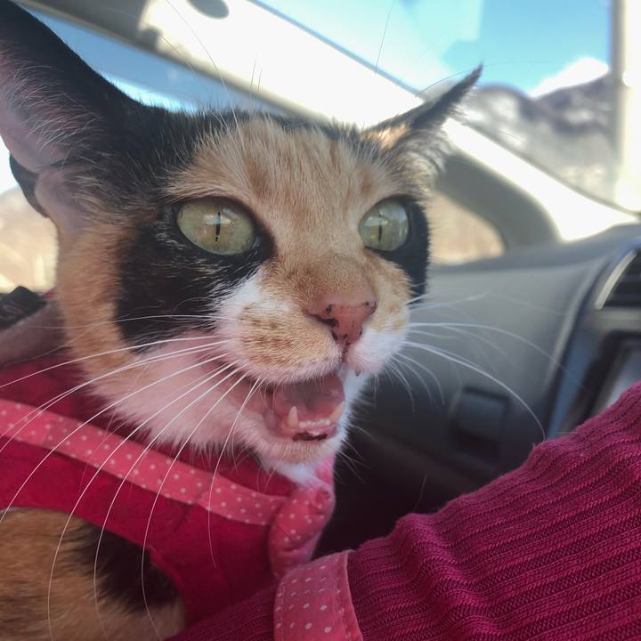 D363bfd4 eb1d 4839 9419 a139579a5c71 1581600871106