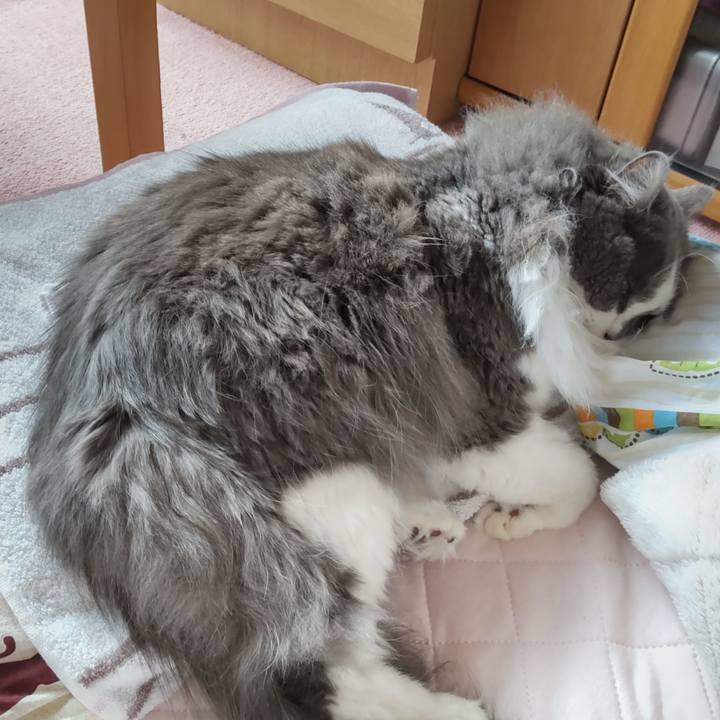 D3643805 e8e1 409b afff 1fdc402b6ff7 1624242004329