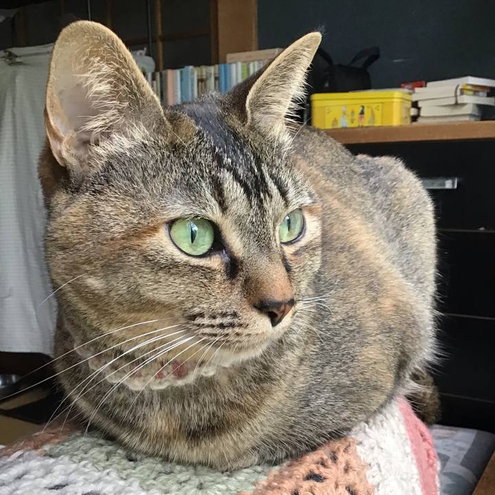 D36440df f5e7 47ef 890e 0b780478781c 1653038444583