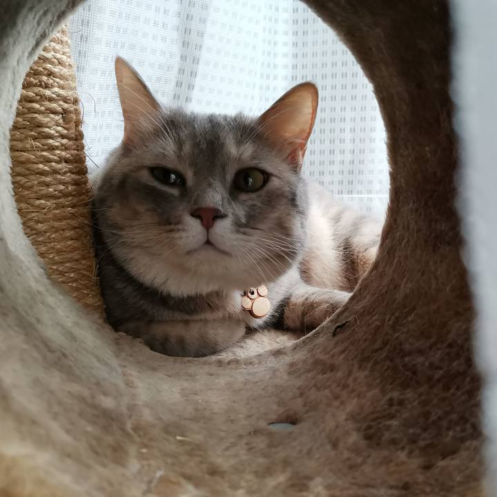 D36441ba dcdc 4f42 83a7 5ad53d22a521 1599437345018