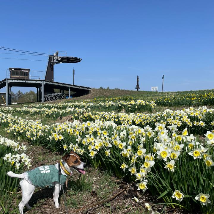 D364687e 77cd 4b46 a7d4 5e7b3ccd26c8 1651932993819