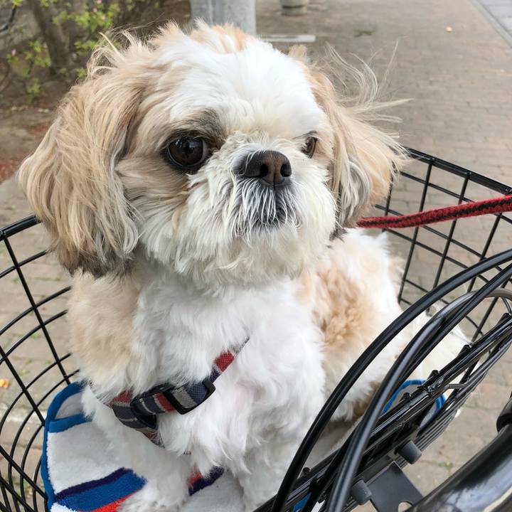 D3647b6c 30e8 4586 a3f9 01d5fae89c2c 1523827930418