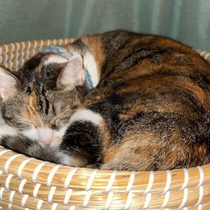 D36481aa cd03 4fdf 99f6 616c585b32b5 1762874805556