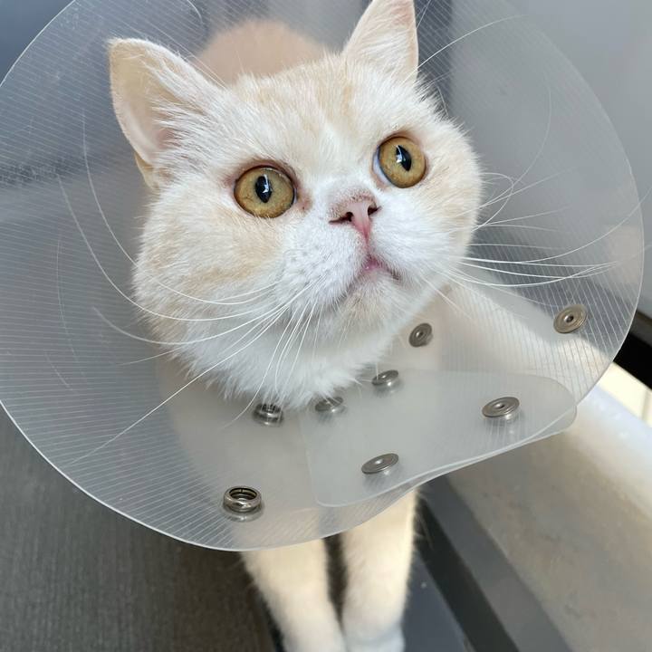 D364a72f f661 4746 b357 a36ae09bb3ed 1755381083482