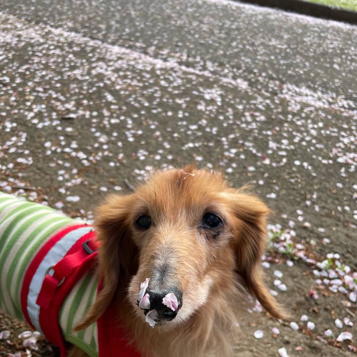 D364aa1d 8e97 4012 b573 9b3fc04498d4 1699793464991