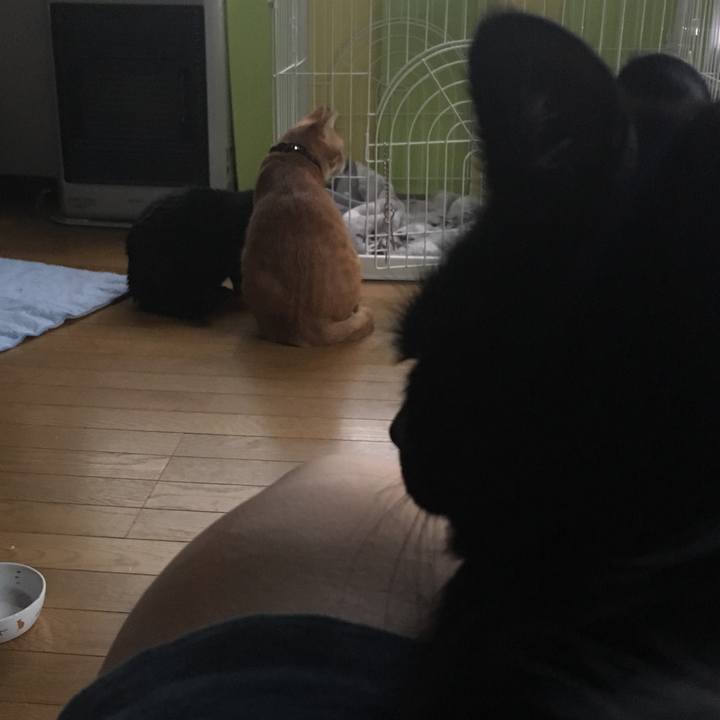 D364af25 4308 4380 97cb 96e99f8294e4 1540592854788