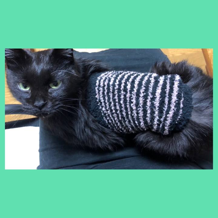 D364c4c3 83e8 4edc 9446 3b0da086a078 1636722102191