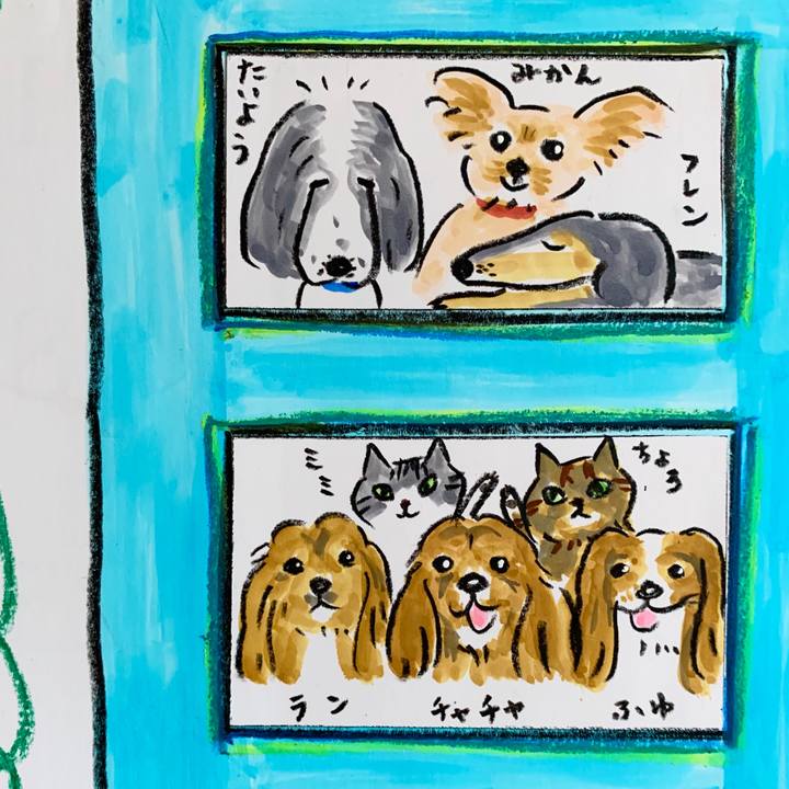 D36511ef 6944 4d9f 8273 6ff7bba43c14 1591853097594