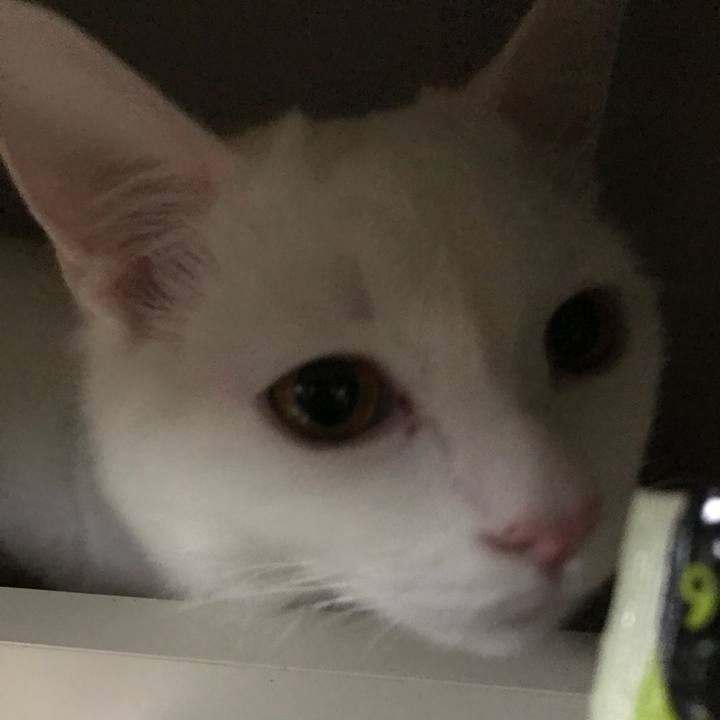 D3657a86 f7f6 4b9e b344 49352022fa6c 1516450503879