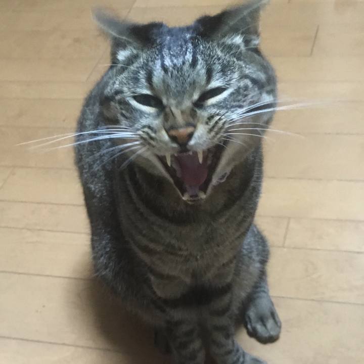 D3657bee c9e0 4cc2 a446 29d031ed624e 1556630891224