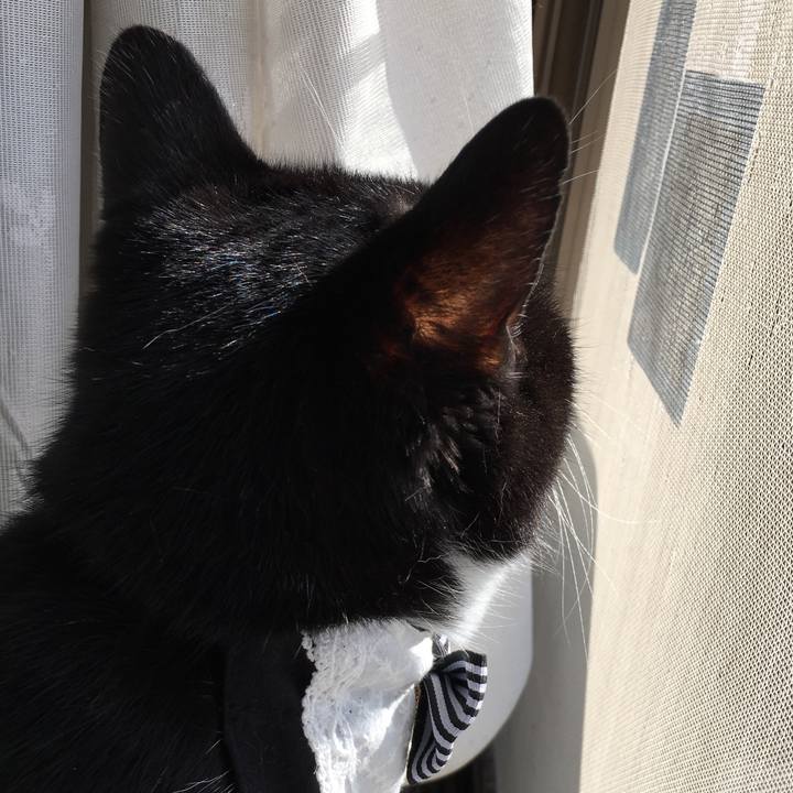 D365f3cb 5a68 4d26 866d 3d755cce162d 1573958960070