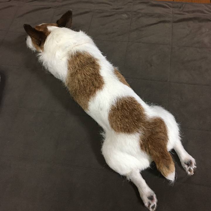 D36618e5 5df5 42c2 a97e 2eda8af4779f 1659396834502