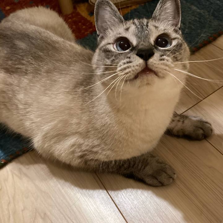 D3662ef2 d053 4614 93e5 4d9a926fcaf7 1594649077811