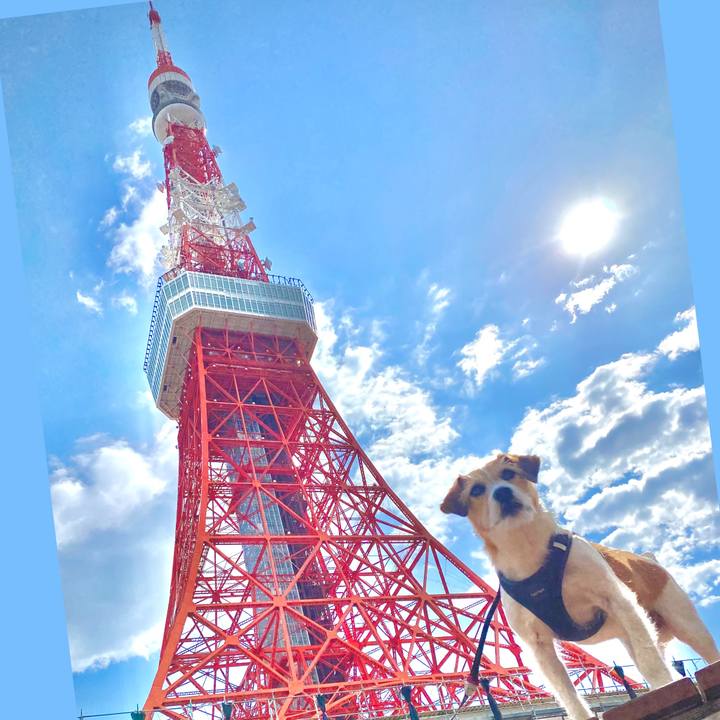 D36636e4 8919 4f1d b49b a52d8b8c0317 1645963774436