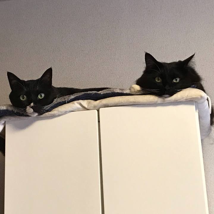 D36661ed eb0c 4830 86d3 f68cec4e1135 1556843698636