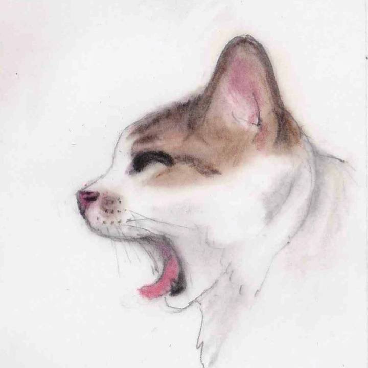 D3666be6 14b6 434c 8f87 e8541321fc72 1632103834276