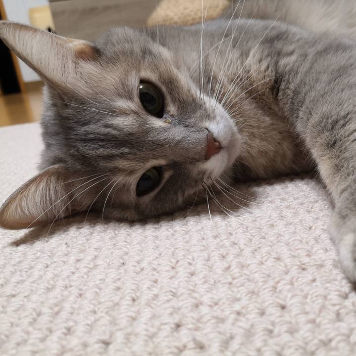 D3666c96 bac5 4e10 af49 a45e232529bb 1576728353910