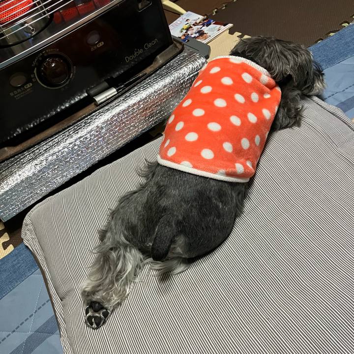 D3669737 ae00 4f40 b9f6 558245a31a54 1709297320895