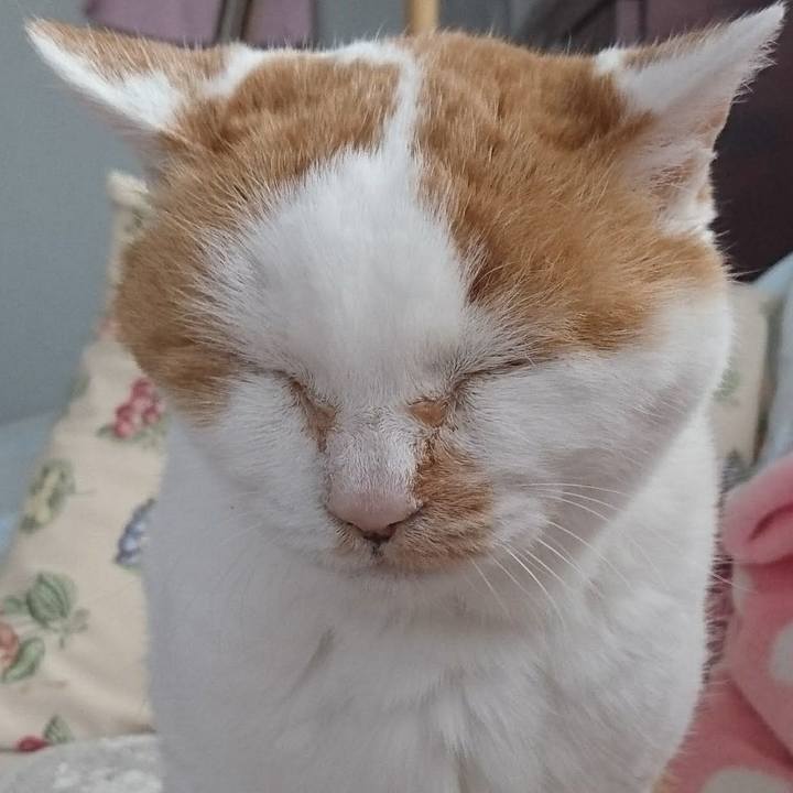 D366a66e b2e1 4524 8a30 ec7735f66c46 1684546567801